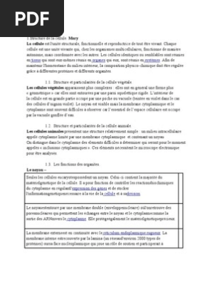 Biochimie Alimentaire Acide Aminé Cytoplasme - 