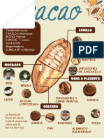 El chocolate y sus derivados del cacao