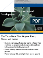 Chapter 35 Plant Structure Growth and Development