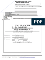 Model-Plan-de-Afaceri-dez Pers