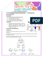 Reporte N°4 - Hidrolisis de La Sacarosa