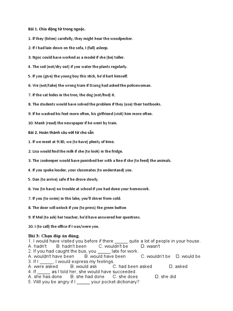 Conditional Sentences Practice | PDF | Language Arts & Discipline ...