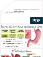 lesiones-de-la-mucosa-gastrica-gastritis-115892-downloable-1194264 (1)-convertido