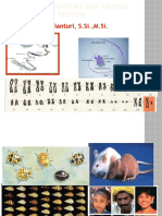 Sintesis Protein