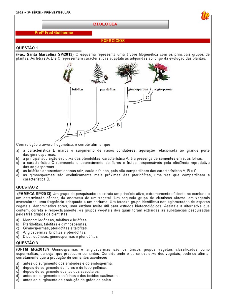 As plantas podem ser divididas em quatro grupos, mostrando o processo  evolutivo dos vegetais na adaptação e conquista do ambiente: - BRIÓFITAS:  sem vasos condutores de seiva, essas plantinhas tem poucos centímetros, image size:768x1024