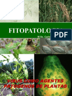 Virus Fitopatogenos