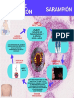 CADENA EPIDEMIOLOGICA DEL SARAMPION