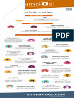 Infografi A Roles en El Gobierno Del Dato