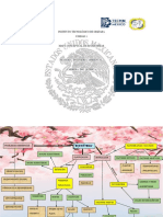 Mapa Conceptual Ecosistemas