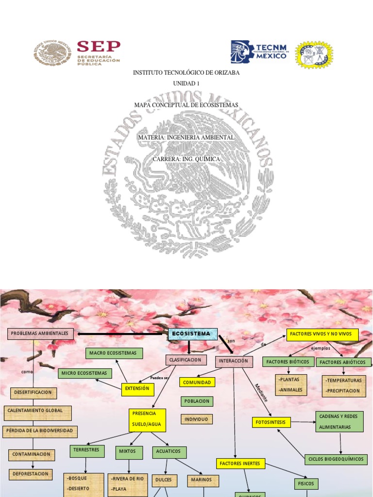 Mapa Conceptual Ecosistemas | PDF | Ecosistema | Ambiente