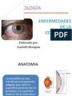 Enfermedadesdelaconjuntiva 100717201107 Phpapp01 151124005338 Lva1 App6892