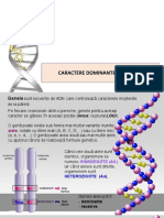 Caractere Dominante Și Recesive