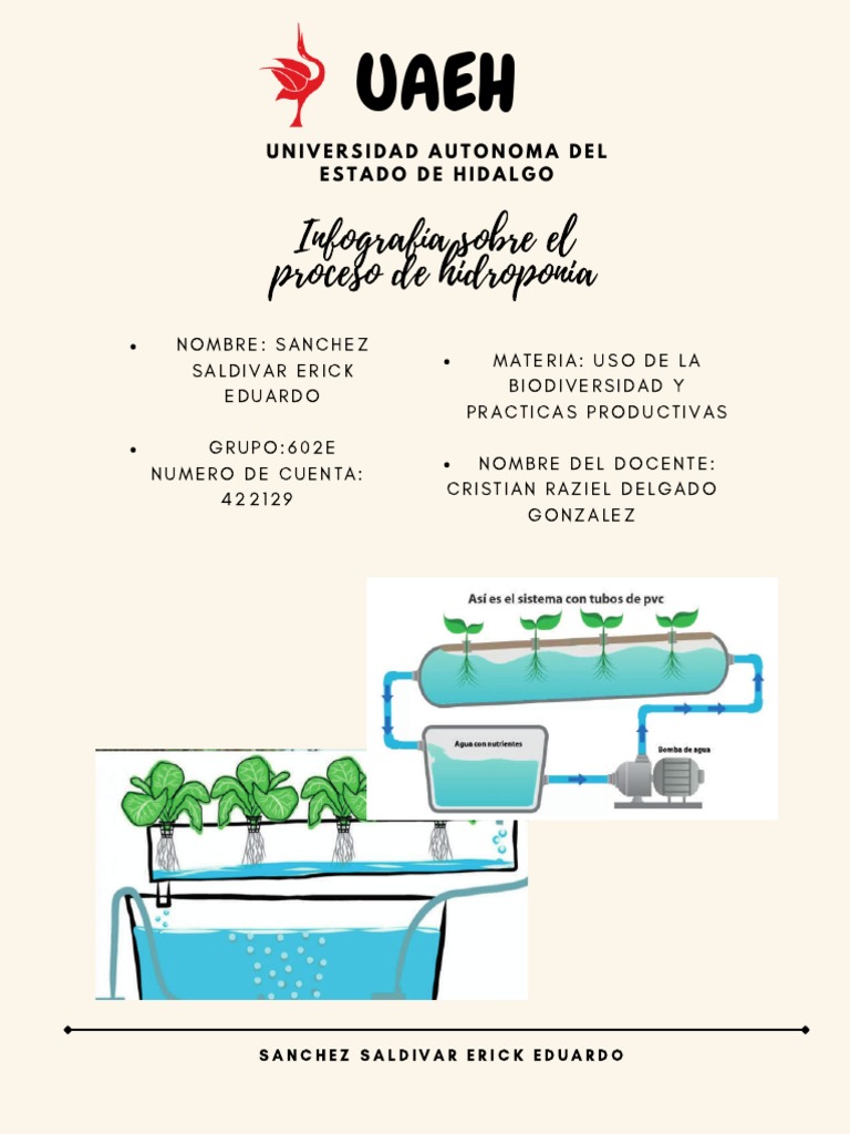 Infografía sobre Hidroponía y Cultivo | PDF | Hidroponia | Entorno natural