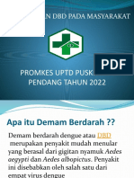 Penyuluhan DBD Pada Masyarakat: Promkes Uptd Puskesmas Pendang Tahun 2022