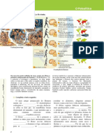 A evolução do Homem no Paleolítico