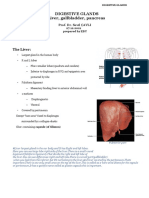 Digestive Glands Liver, Gallbladder, Pancreas