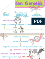 Mendelian Genetics Half