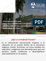 Perfile de Cargo