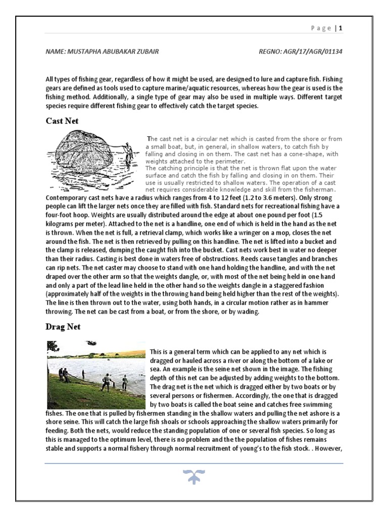 Assignment Fishries, PDF, Fish