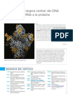 Capitulo 11_RNA Y SINTESIS DE PROTEINAS_Biología celular y molecular_ conceptos y experimentos (8a. ed.)