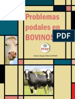 Problemas Podales en Bovinos