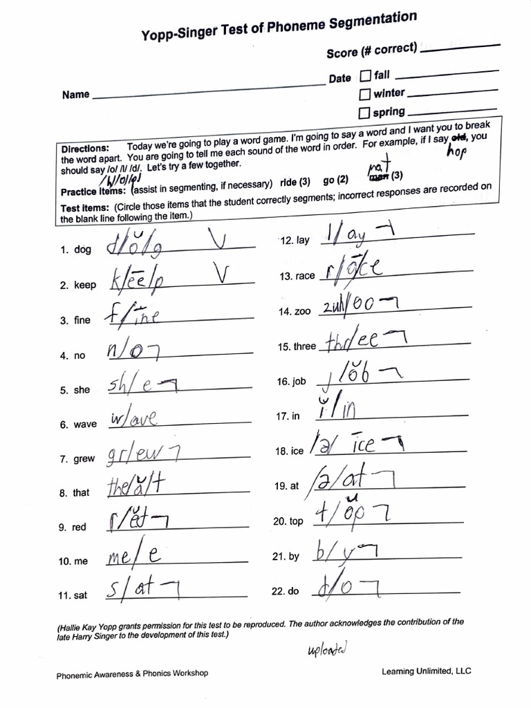YoppSinger Test PDF Applied Linguistics Cultural Assimilation