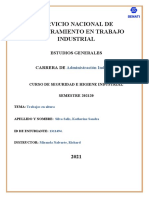 Seguridad e Higiene Industrial - Trabajo Final Del Curso TR2