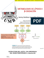 BDD Metabolismo de Lípidos - Beta-Oxidación, Lipogénesis, Cetogénesis y Colesterogénesis 202-1