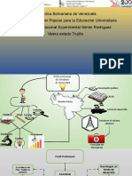 Mapa Mental y Coceptual