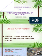 Animal Protect Eggs and Young