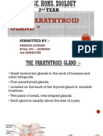 " The Parathyroid Gland ": 2 Year