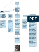 Mapa Conceptual Intoxicación Por Plomo