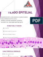 Tejido Epitelial