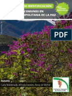 Guía rápida de ID plantas región metropolitana La Paz
