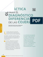 An Guia Diagnostico Diferencial Cojeras 02