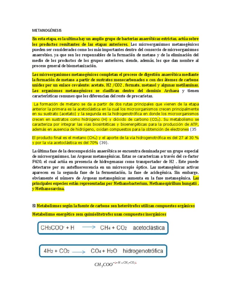 METANOGÉNESIS PDF