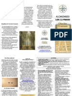 Brochure en Español 12 Pasos VFMC