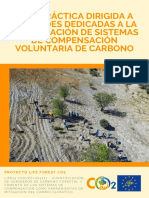 Guía práctica compensación voluntaria carbono