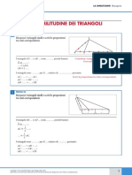 bergamini_similitudine_R1_G8VB