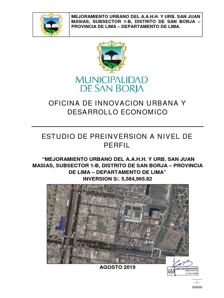 Resumen Ejecutivo | PDF