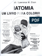 Anatomia para Colorir - Livro