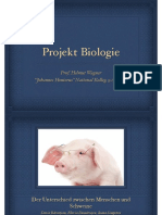 Projekt Schweine