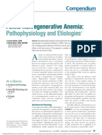 Feline Nonregenerative Anemia Pathophysiology and Erilologies