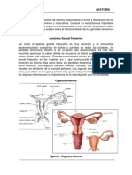 Anatomía Sexual 2021