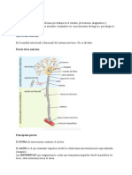 Repaso Psiquiatria