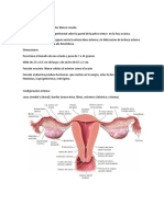 Genitales Femeninos 2022