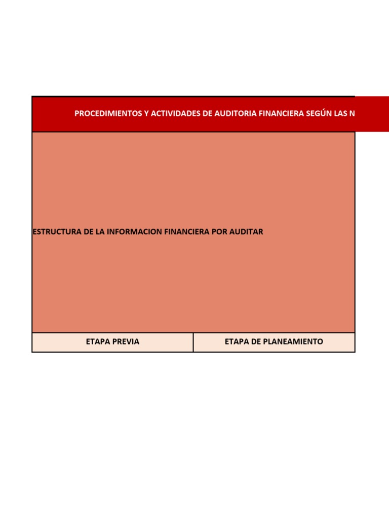 Procedimientos de Auditoría Financiera | PDF