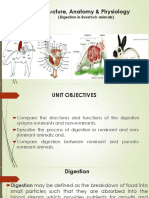 Structure, Anatomy and Physiology (New)