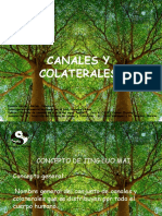Presentación CANALES Y COLATERALES 2021 (SEMINARIO FEBRERO) No. 1