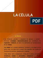 Celula Unidad 2